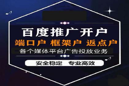 百度竞价代理操作手册：成功案例分析